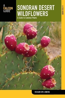 Sonoran Desert Wildflowers - Richard Spellenberg