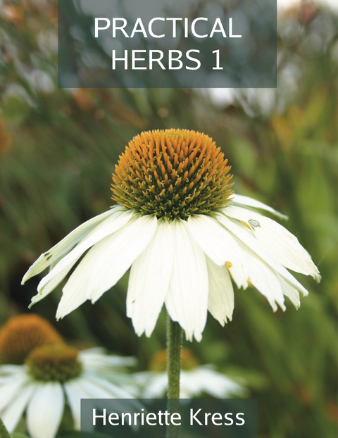 Practical Herbs 1 -  Henriette Kress