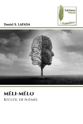 Méli-Mélo - Daniel S Lafada