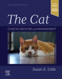 The Cat - 