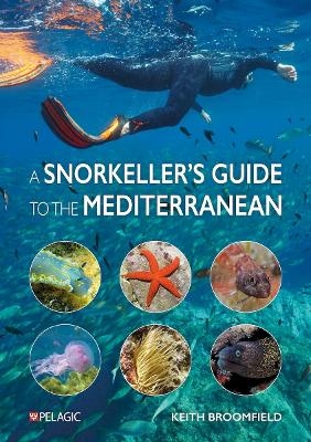 A Snorkeller’s Guide to the Mediterranean - Keith Broomfield