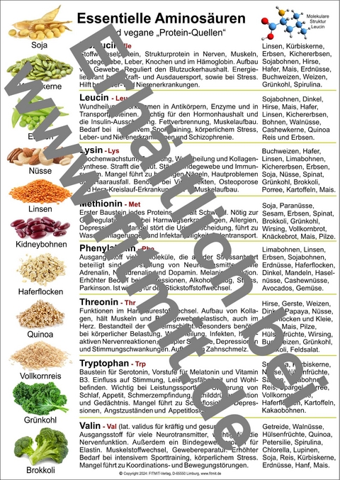 Aminosäuren und vegane Protein-Quellen - Tanja Aeckersberg