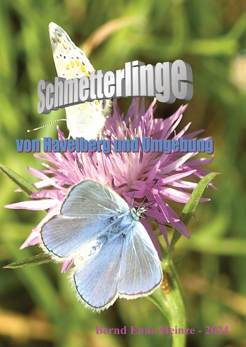 Schmetterlinge von Havelberg und Umgebung - Bernd Heinze