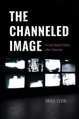 The Channeled Image - Erica Levin