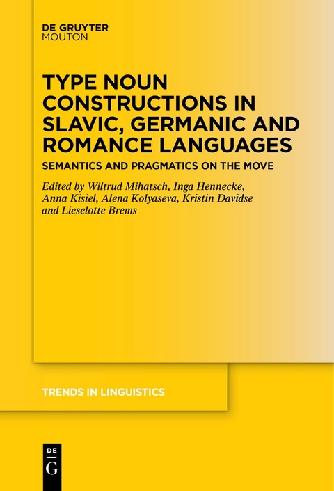 Type Noun Constructions in Slavic, Germanic and Romance Languages - 