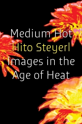 Medium Hot - Hito Steyerl