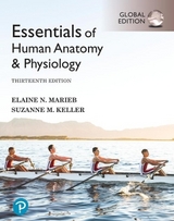 Essentials of Human Anatomy & Physiology, Global Edition -- SMS Setup Record - Marieb, Elaine; Keller, Suzanne