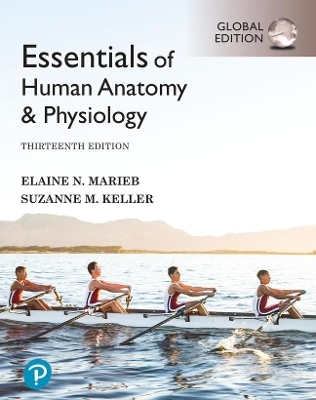 Essentials of Human Anatomy & Physiology, Global Edition -- SMS Setup Record - Elaine Marieb, Suzanne Keller