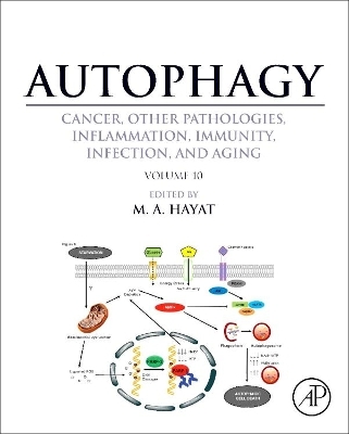 Autophagy: Cancer, Other Pathologies, Inflammation, Immunity, Infection, and Aging - 