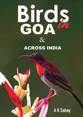 Birds in Goa & Across India - A K Sahay