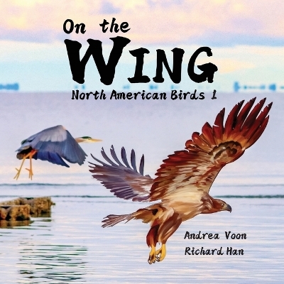 On the Wing - North American Birds 1 - Andrea Voon