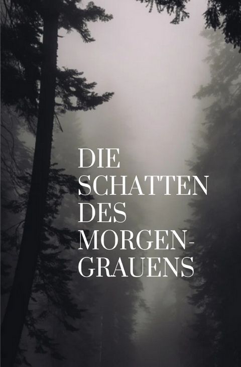 „Die Schatten des Morgengrauens“ - Nadine Meier