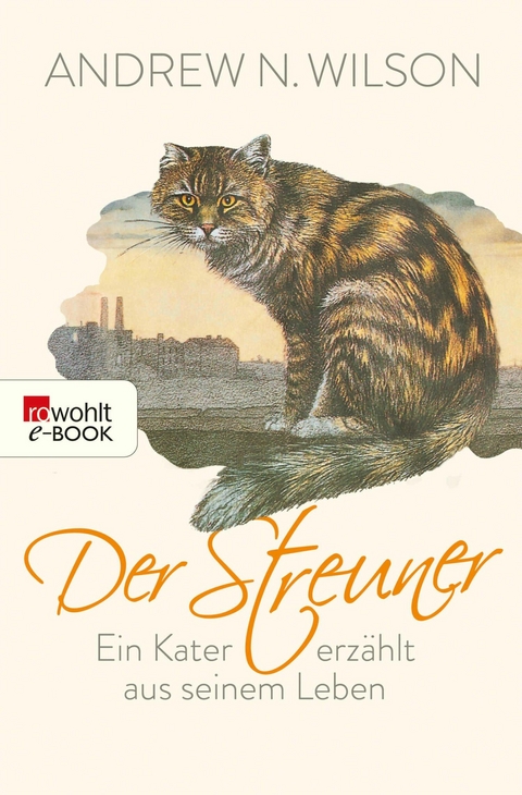 Der Streuner -  Andrew N. Wilson