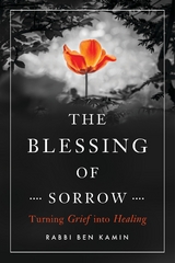 The Blessing of Sorrow - Ben Kamin