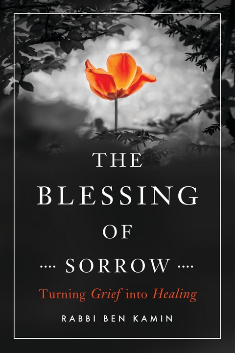 The Blessing of Sorrow - Ben Kamin