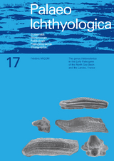 The genus Heterodontus in the Early Paleogene of the North Sea Basin and the Landes, France - Migom Frederic