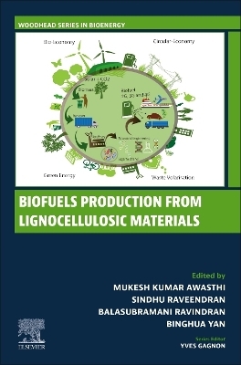 Biofuels Production from Lignocellulosic Materials - 