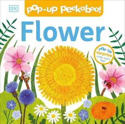 Pop-Up Peekaboo! Flower -  Dk