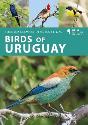 Birds of Uruguay - Florencia Ocampo, Rafael Tosi Germán