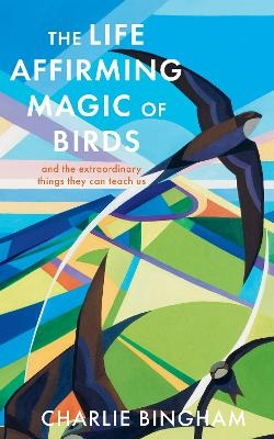 The Life Affirming Magic of Birds - Charlie Bingham