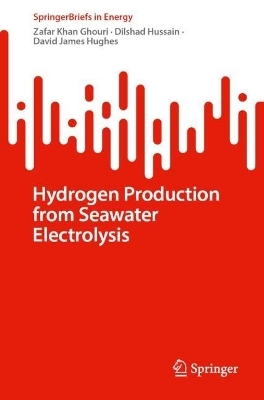 Hydrogen Production from Seawater Electrolysis - Zafar Khan Ghouri, Dilshad Hussain, David James Hughes