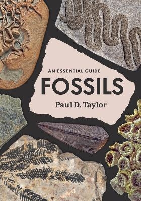 Fossils - Paul D Taylor