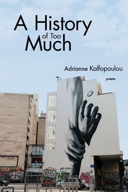 History of Too Much -  Adrianne Kalfopoulou