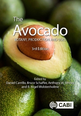 The Avocado - 