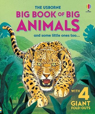 Big Book of Big Animals - Hazel Maskell