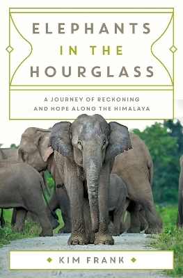 Elephants in the Hourglass - Kim Frank