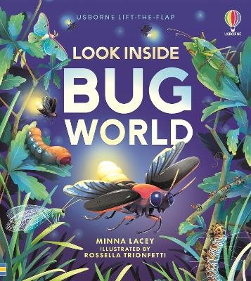 Look Inside Bug World - Minna Lacey