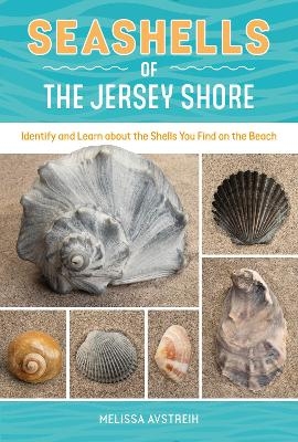 Seashells of the Jersey Shore - Melissa Avstreih