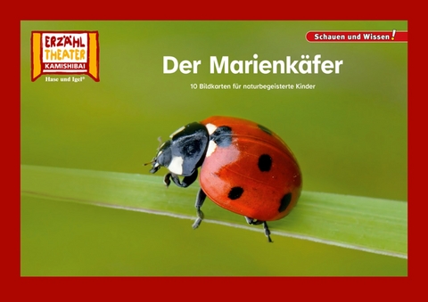 Der Marienkäfer / Kamishibai Bildkarten