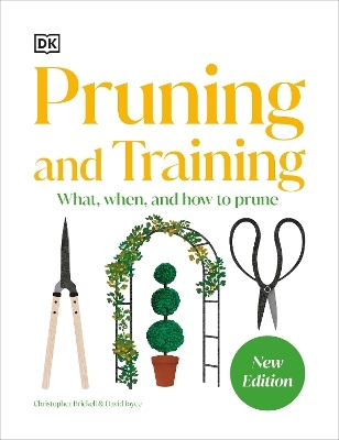 Pruning and Training -  Dk