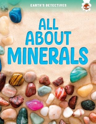 Earth's Detectives: All About Minerals - Rebecca Storm