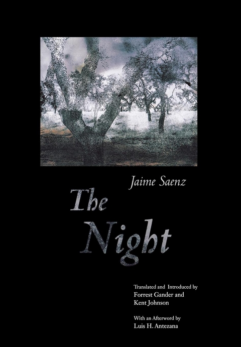 The Night - Jaime Saenz