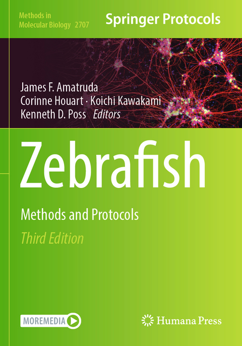 Zebrafish - 