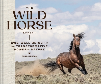 The Wild Horse Effect - Chad Hanson