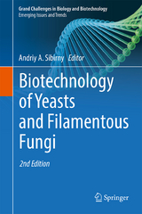 Biotechnology of Yeasts and Filamentous Fungi - Sibirny, Andriy A.