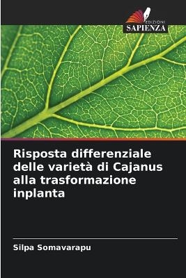 Risposta differenziale delle varietà di Cajanus alla trasformazione inplanta - Silpa Somavarapu