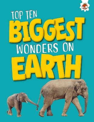 Top Ten Biggest Wonders on Earth - John Allan