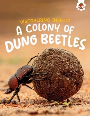 Discovering Insects: A Colony of Dung Beetles - Rebecca Storm