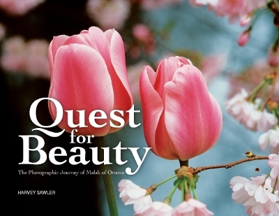 Quest for Beauty - Harvey Sawler