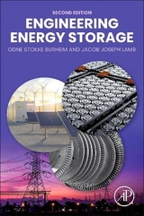 Engineering Energy Storage - Lamb, Jacob Joseph; Burheim, Odne Stokke