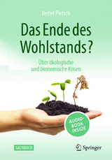 Das Ende des Wohlstands? - Pietsch, Detlef