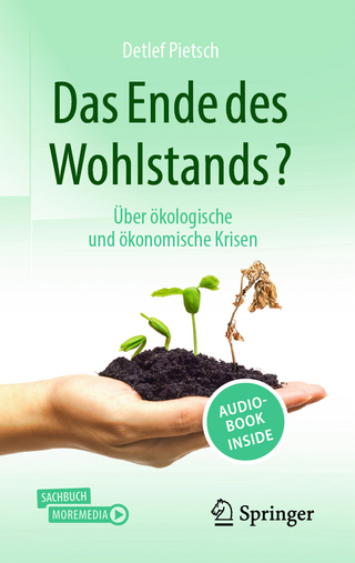 Das Ende des Wohlstands? - Detlef Pietsch