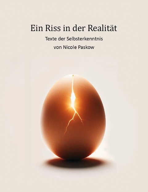 Ein Riss in der Realität - Nicole Paskow