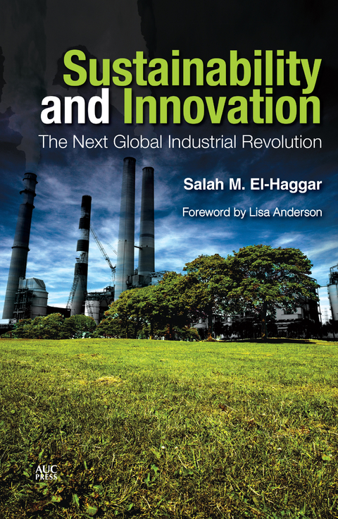 Sustainability and Innovation - Salah M. El-Haggar