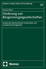 Förderung von Bürgerenergiegesellschaften - Theresa Hüsch