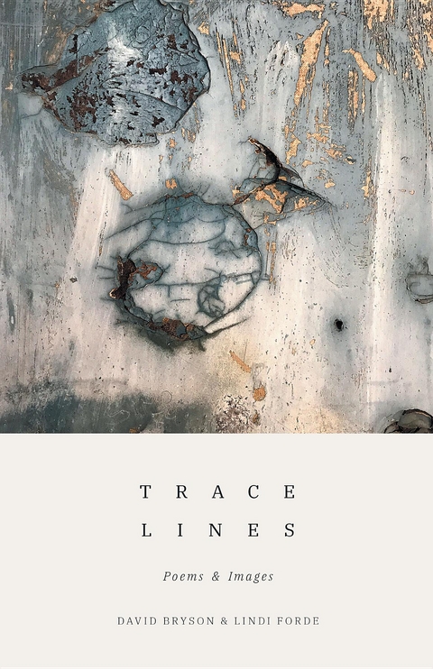 Trace Lines - David Bryson, Lindi Forde